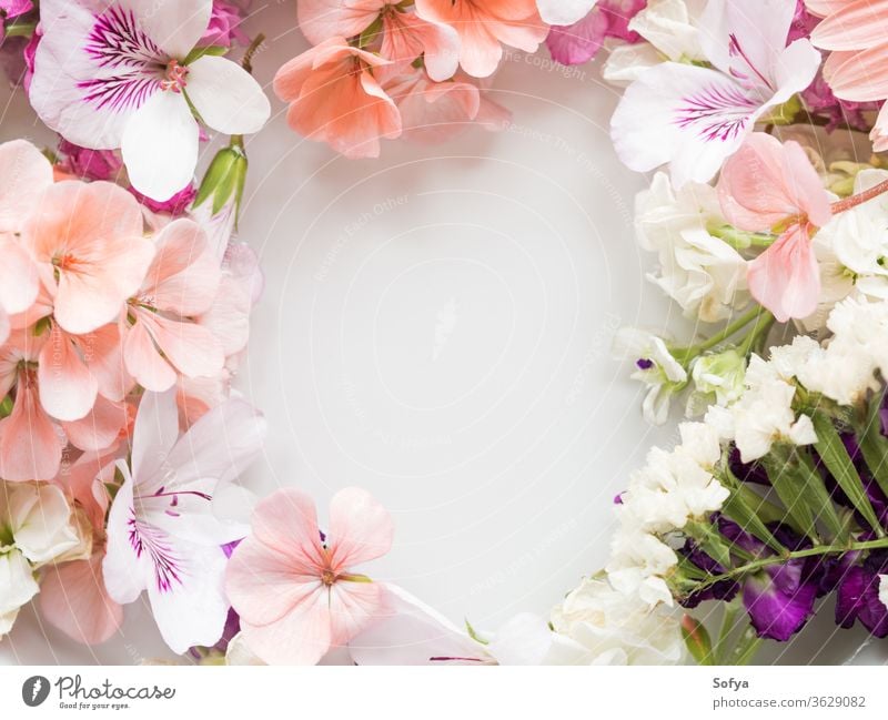 Beautiful pink and white flowers in water spring background petal color wedding pastel texture summer floral botanical nature natural spa wellness bloom blossom