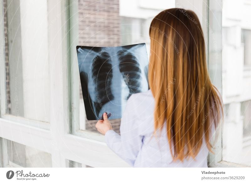 A female doctor examines an x ray of shot of the lungs. View from the back nurse girl x-ray hospital medical stethoscope woman white care chest professional