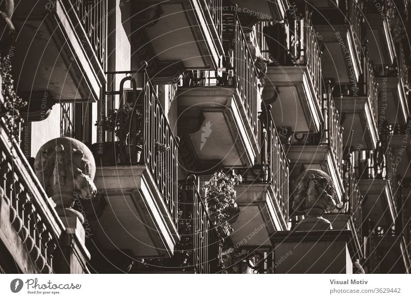 Low angle view of rows of neoclassical balconies on the facade of a residential building pot balcony plant exterior ornament construction old style railing