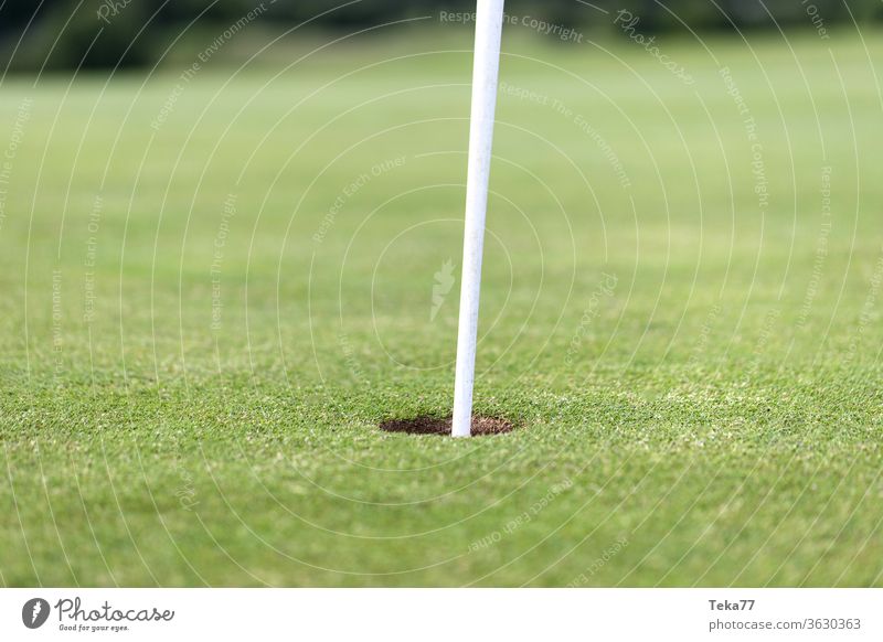#Golf course hole golf fetch Golf ball golf course hole Flag Lawn green