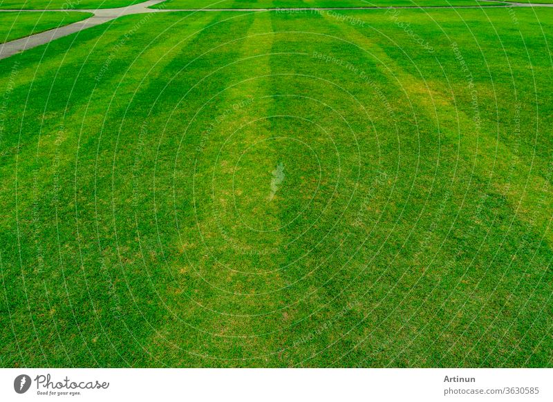 Green grass field with line pattern texture background and walkway abstract area backdrop ball beautiful clean closeup color competition design empty
