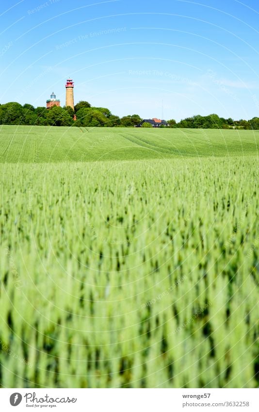 Behind a green wheat field the 2 lighthouses of Cape Arkona look longingly into the distance Lighthouse Cap Arcona island rebuke Baltic Sea Far-off places