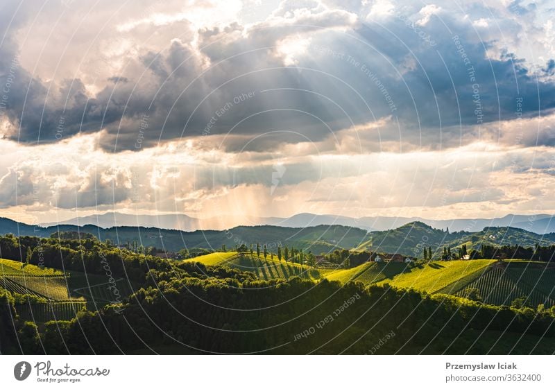 Beautiful landscape of Austrian vineyards in south Styria. Famous Tuscany like place to visit. summer idyllic wine travel austria panoramic nature sun winery
