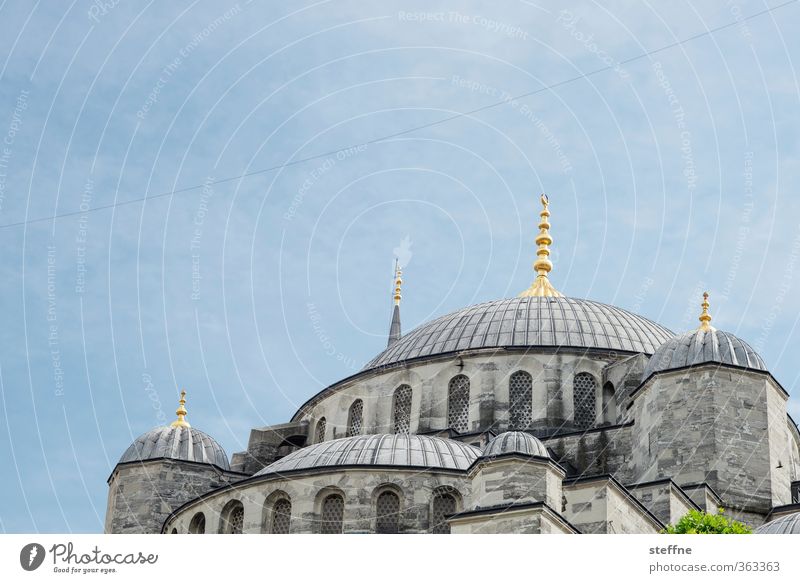 1011 nights | paired up Istanbul Esthetic Blue Mosque Islam Near and Middle East Splendid Domed roof Elegant Dignity Turkey Landmark Religion and faith