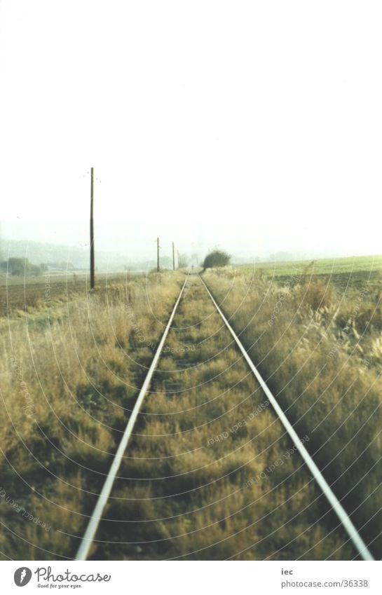 Tracks into nothingness Plain Grass Railroad tracks