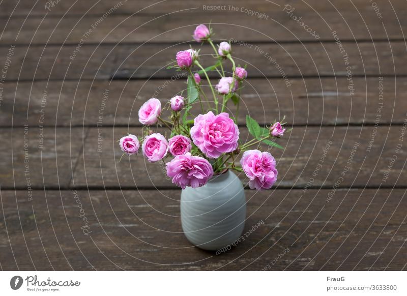 little rose Bouquet flowers Vase with flowers Flowers and buds Rose blossom Damask Rose old rose Pink Wood planks weathered wood Spring Close-up