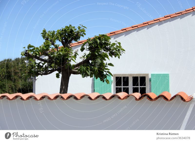 holiday home with privacy Wall (barrier) House (Residential Structure) Window tree Garden Private Roofing tile shutters Screening wind deflector garden wall