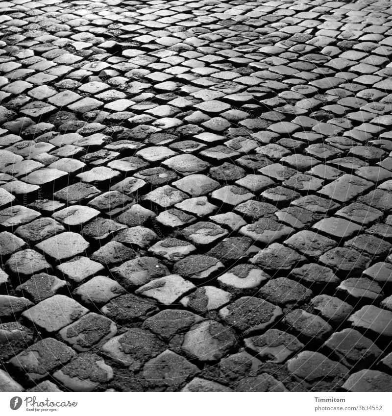 Roman Square Places Stone stones Cobblestones interstices Gray Light and shadow Paving stone location Shadow Asphalt Uneven Waves uprisings Lower