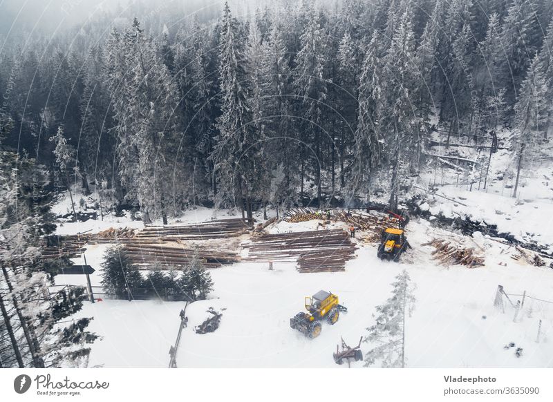 Industrial logging and harvesting with machinery in winter mountain forest. Flying drone view photography. tree timber lumber above air fly wood deforestation