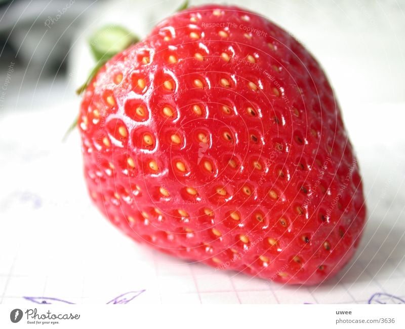strawberry Red Fresh Summer Plant Healthy Detail Fruit Nutrition Vegetarian diet Strawberry Berries