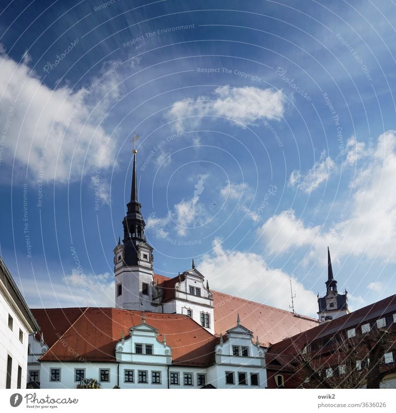 Torgau where it is highest torgau Saxony Germany Small Town Downtown built Wall (barrier) Wall (building) Window Roof Colour photo Exterior shot Detail Deserted