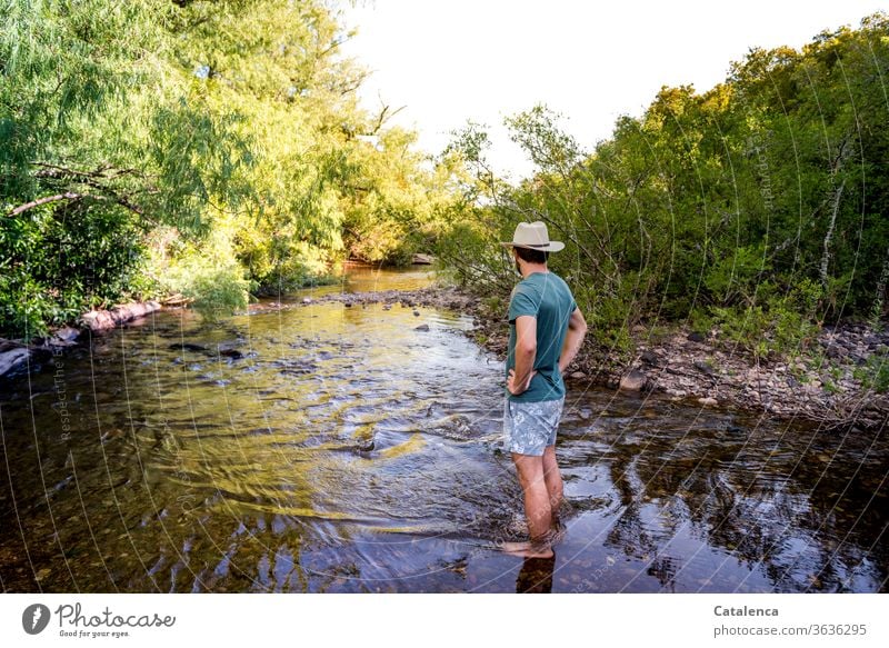 Young man with straw hat and swimming trunks stands at a shallow spot in the stream. Lush vegetation grows on the banks of the stream Nature Plant flora bushes