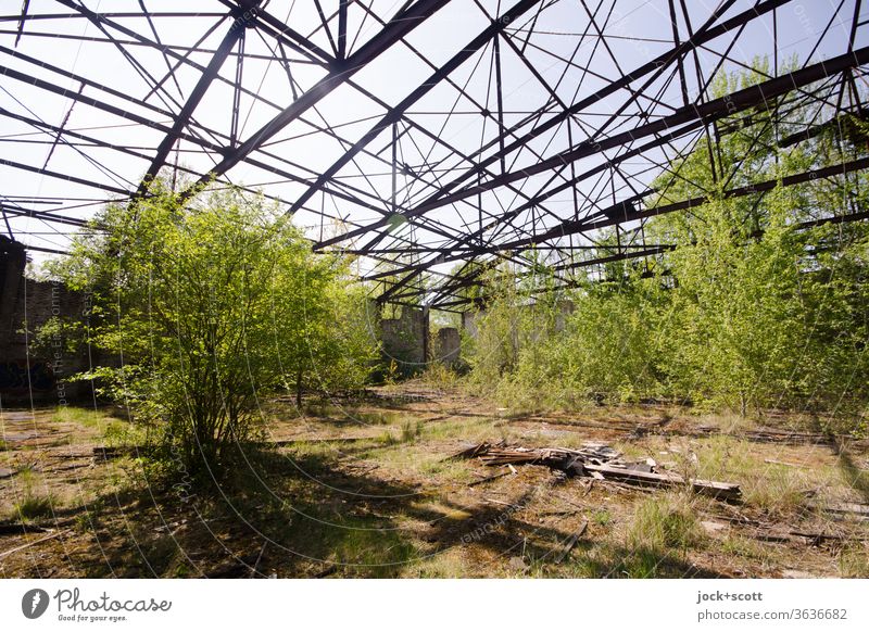 rusty dilapidated hangar with lots of fresh green inside Hangar lost places Deciduous tree Nature Transience Broken Architecture Old Decline Ravages of time