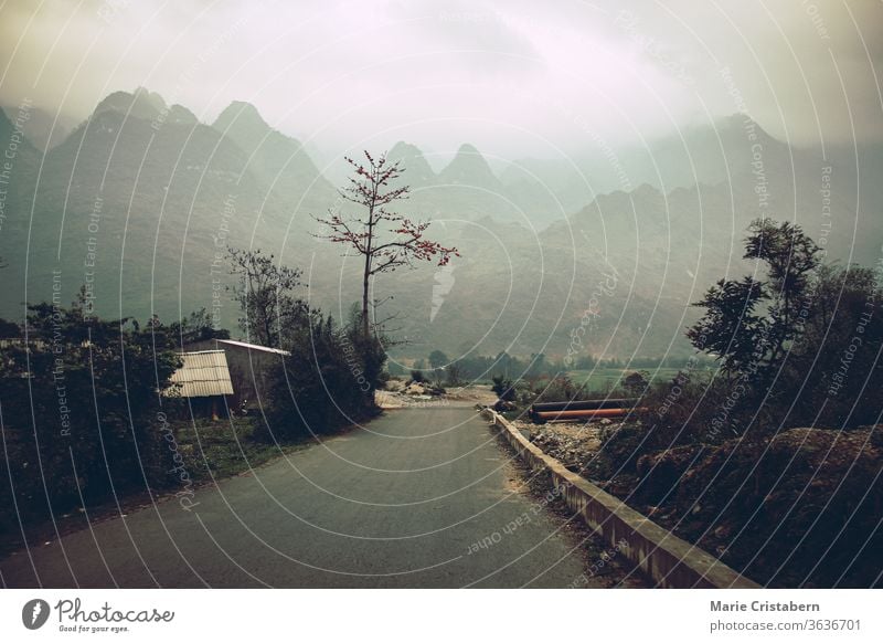 Dark and moody cinematic scenery of the fog covered mountain road in Meo vac, Ha giang Province in North Vietnam cinematic landscape foggy mountain road