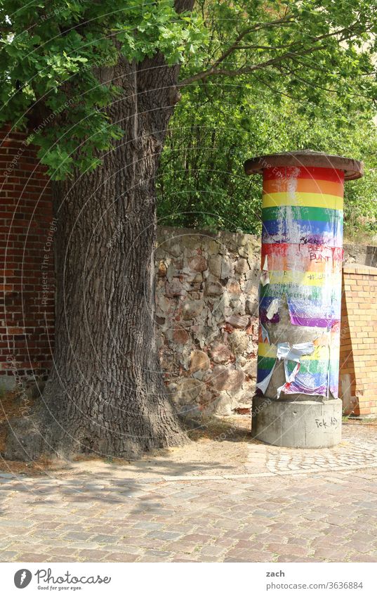 7 days through Brandenburg - News in colour House (Residential Structure) Old Broken Decline Ruin built Destruction Wall (barrier) Facade Past Transience