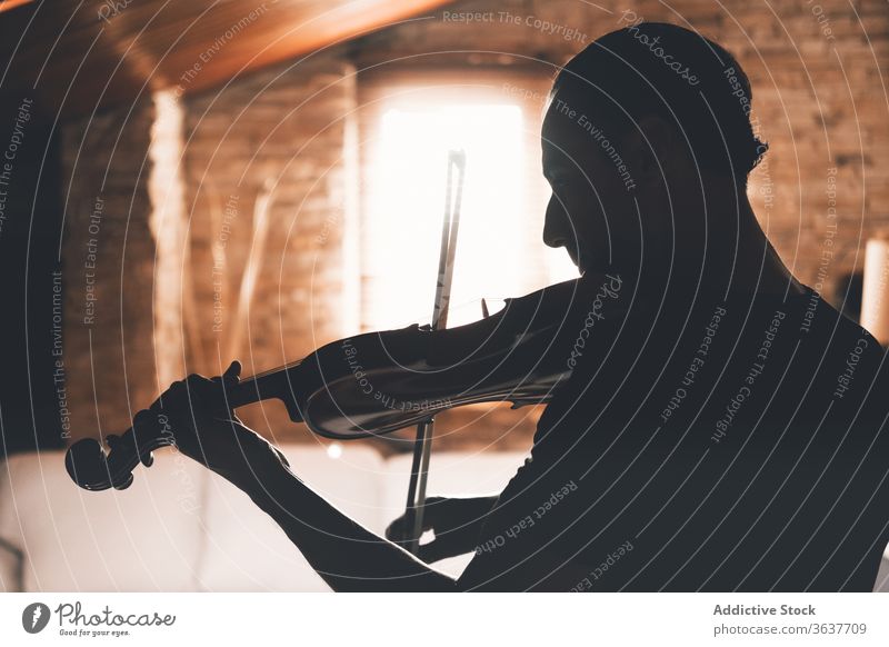 Male violinist playing melody at home musician man silhouette perform instrument male practice talent art music sheet tune song hobby entertain rhythm player
