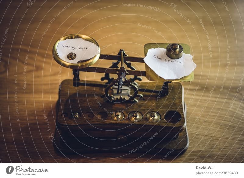 Countermeasures | overweight and underweight antagonism Opposites Fat Thin Overweight Underweight Scale concept context visualization Anorexia Measure