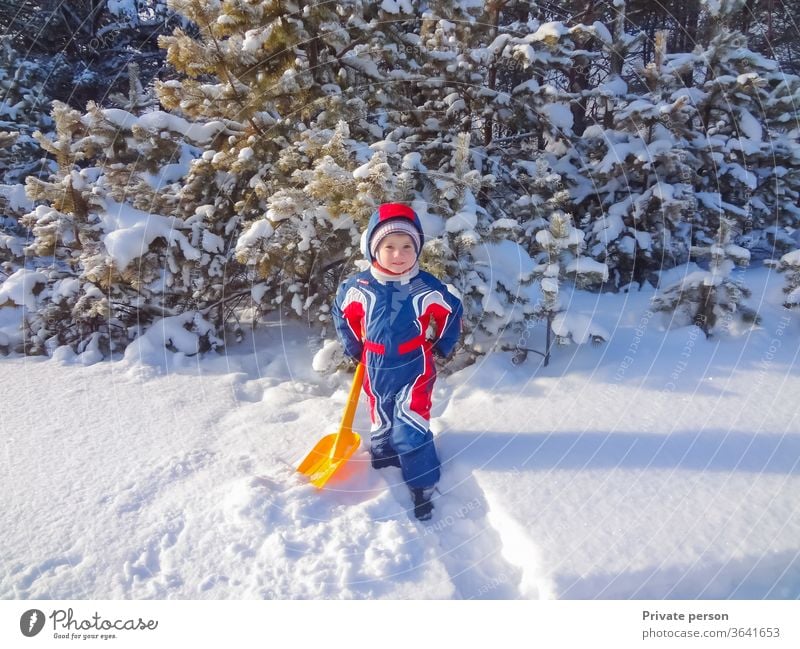 Happy little boy in winter near a snowy Christmas tree happy christmas tree child plays outdoor childhood clothes cold cute december forest fun happiness