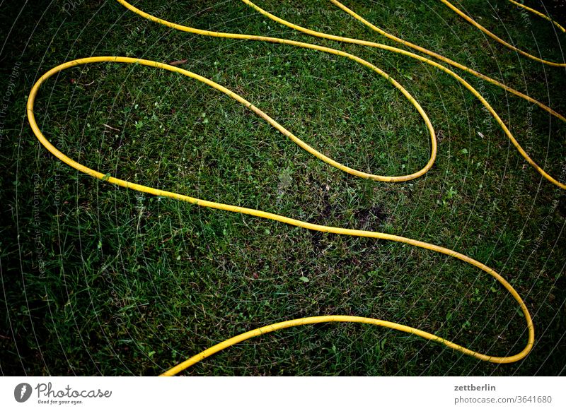 Garden hose in serpentines Relaxation Grass allotment Garden allotments Deserted Nature Plant Lawn tranquillity Garden plot Summer Copy Space depth of field