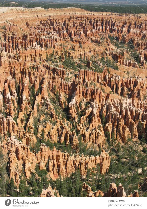 Bryce Canon USA vacation Vacation & Travel Sky Nature canyon Rock Canyon National Park Stone Americas Mountain Vantage point panorama