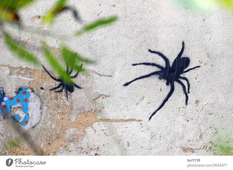 black spiders discovered through leaves on flaked partly colored masonry| UT Hamburg Decoration mural painting Graffiti Spray Gray Wall (building)