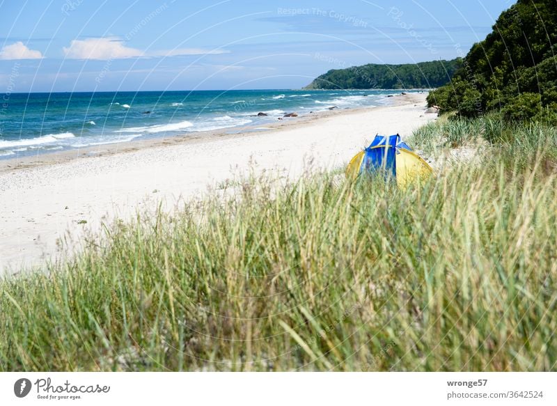 Off to the weekend | dunes, beach, blue sky and sea Baltic beach Baltic Sea Ocean Blue sky Beautiful weather Sandy beach Marram grass beach shell Deserted Beach