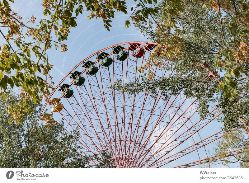 Ferris wheel in a disused amusement park Amusement Park plänterwald Wuhlheide Berlin spring decommissioned huts Empty Leisure and hobbies Joy Sky Rotate