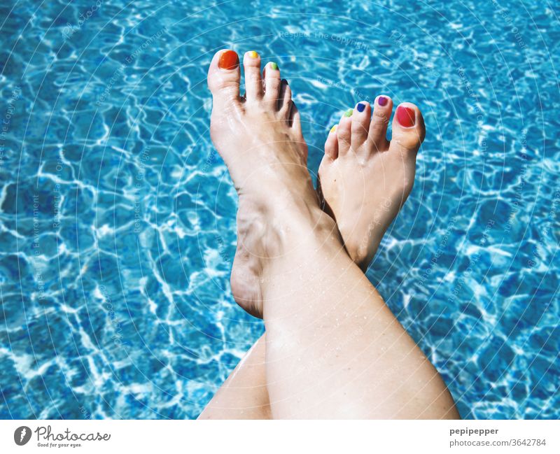 Frau am Pool mit bunten Fußnägeln pool Swimming pool Open-air swimming pool Water Swimming & Bathing Blue Summer bunte Fußnägel füße Sports Schwimmbad frau