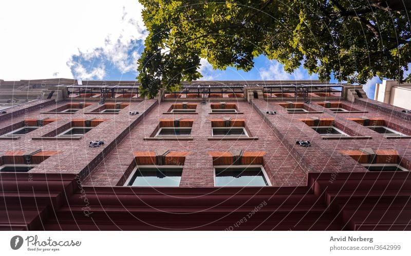 Looking up on a brick building with a tree pointing out and the blue sky in the background angle architecture buildings business city cityscape clouds