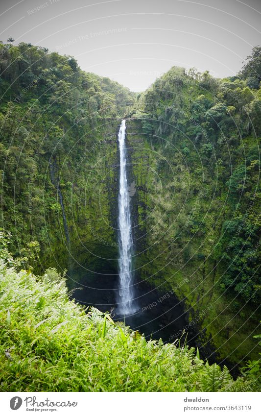 Hawaiian Waterfall hawaii waterfall nature beautiful landscapae Nature Exterior shot Beautiful Colour photo Day Deserted Landscape Beautiful weather Environment