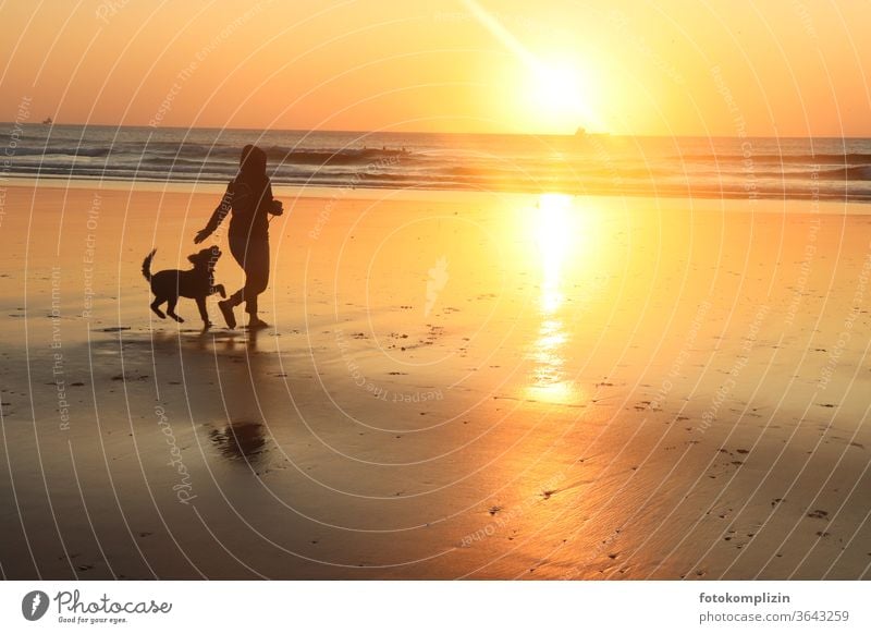 Woman with dog on the beach at sunset Man and dog To go for a walk Sunset on the beach sunset mood Beach Ocean Sunset light Sunset sea woman with dog