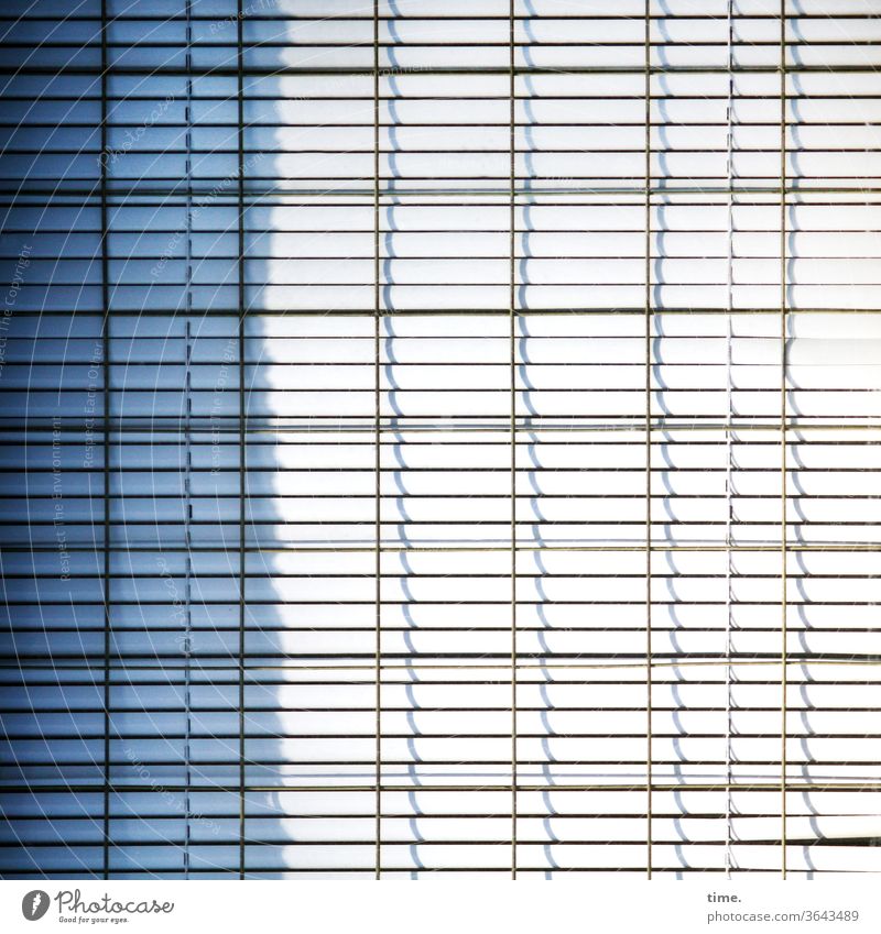 closed shop Venetian blinds sunny Shadow lines Closed Wait Metal Whimsical safeguarded Inspiration Window Parallel Gray urban Complex Protection Safety tired