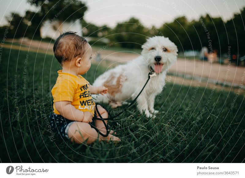 Baby and dog at park Together togetherness Pet Dog Friendship friends lifestyle caucasian love beautiful young pet smiling cute happy friendship Park Garden
