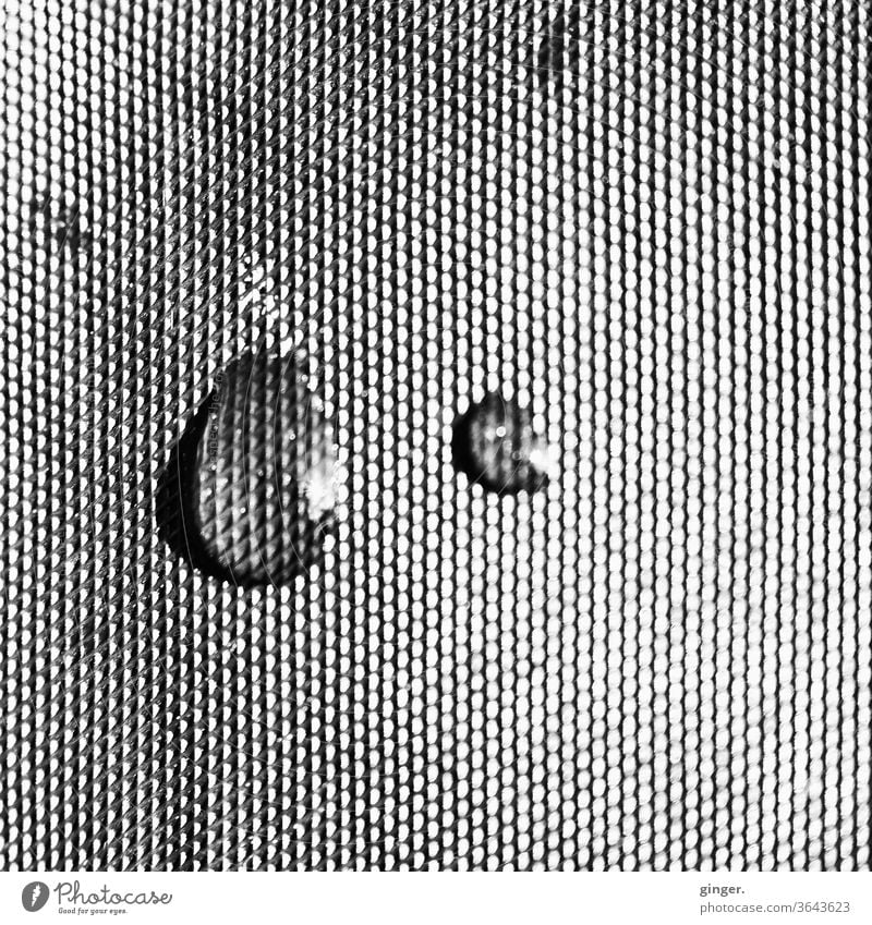 Drops on foil b/w - Just a little bit sad Black & white photo Things Packing film Structures and shapes Water Rain Macro (Extreme close-up) Exterior shot