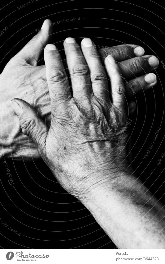 He put his hand on her heart and promised she believed him. Man by hand shirt T-shirt Old wrinkled Veins Woman Married couple Couple hands