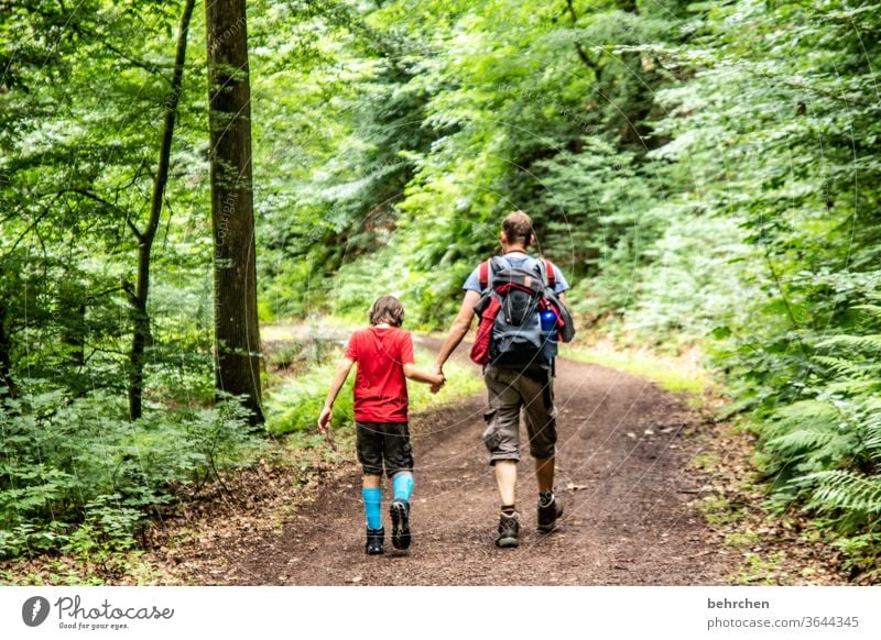 be in common hikers Lanes & trails Together Environment Exterior shot Nature Summer Son Father Hiking Man Child Boy (child) Parents Family & Relations Love