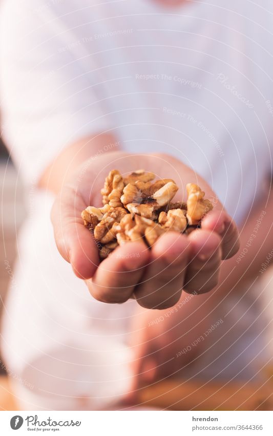 hand full of nuts walnut hazelnut healthy almond person macro vegetarian ingredient handful white palm dried holding eat nature nutty eating protein one person