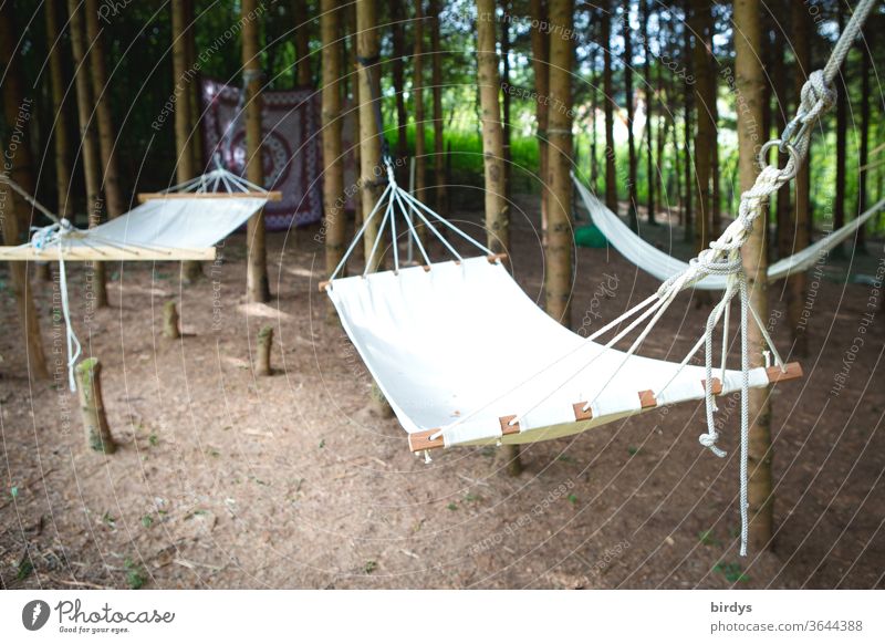 Hammocks on trees in a small grove huts chilly Many Relaxation Nature Summer relaxation Shallow depth of field Rest tranquillity Day daylight Forest vacation