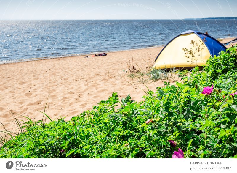 Camping and tent on beach sea under the pine forest on shore of Gulf of Finland, St. Petersburg, Russia. Concept of outdoor activities, healthy lifestyle