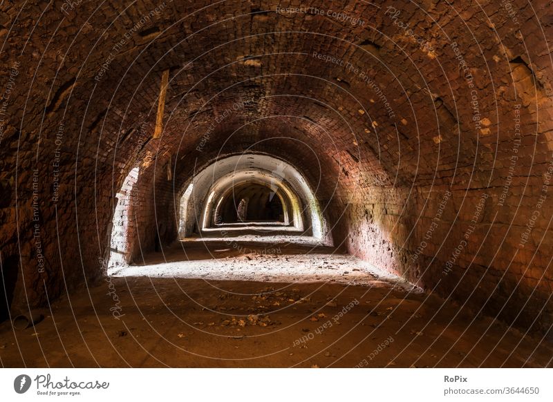 Combustion chamber of a ring kiln in an old brickyard. Vault Park Garden arches abbey built Church columns Gothic period Gothic style Architecture