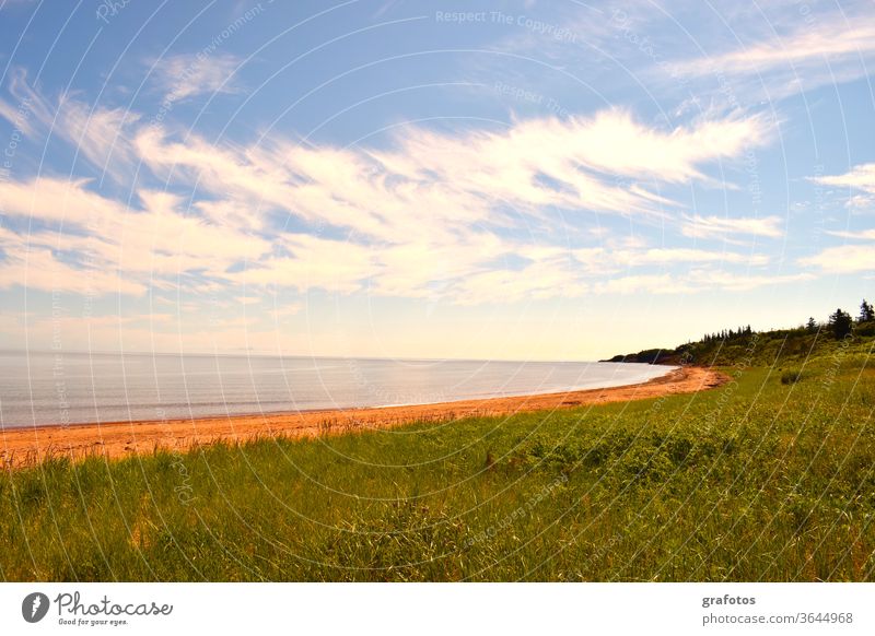 Red Cove Green Land Prince Edward Island Canada Iceland P.E.I. Exterior shot Colour photo Nature Landscape Day Environment natural Ocean Bay Blue farsightedness