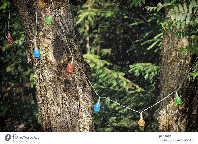 feierlaune Wald Lichterkette bunt feiern Bäume Fest Natur lachen Rente Ruhestand