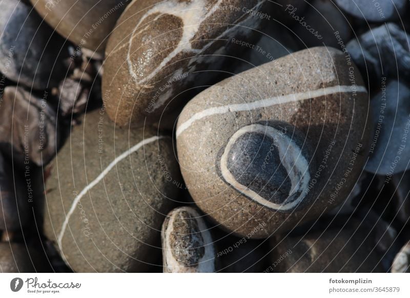 River stones with white lines Flowstone river stones Pebble Gray Stone Line Close-up Structures and shapes Pattern whorls circles Detail Abstract Subdued colour