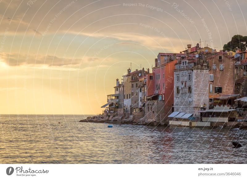 Old town directly at the sea in the light of the sunset on the horizon Rovinj Croatia Istria Europe Ocean Horizon Evening Yellow Orange Peninsula Rock Coast