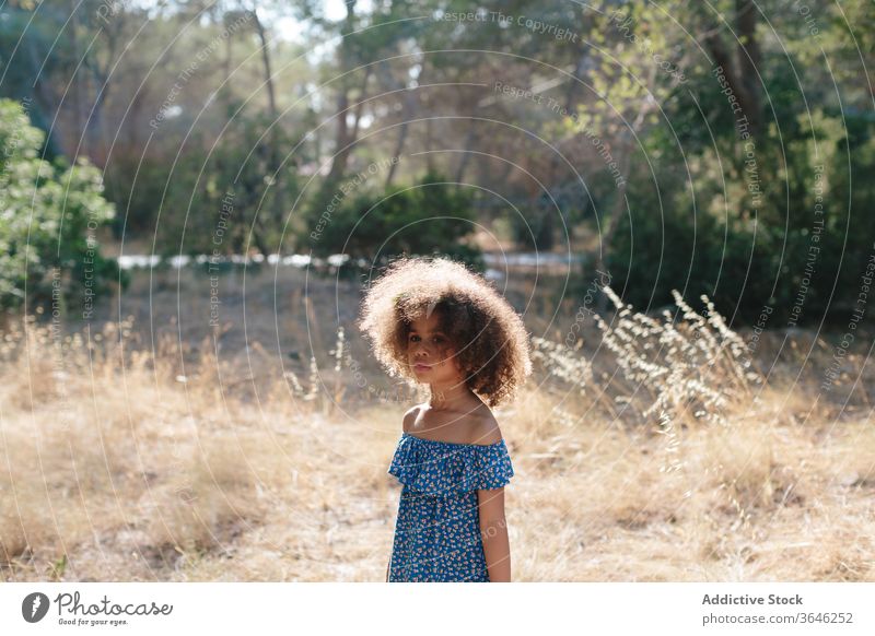 Serious ethnic girl in rural environment dress serious countryside nature sunny outfit focus pensive curly hair cute sunlight tree stand lifestyle kid casual