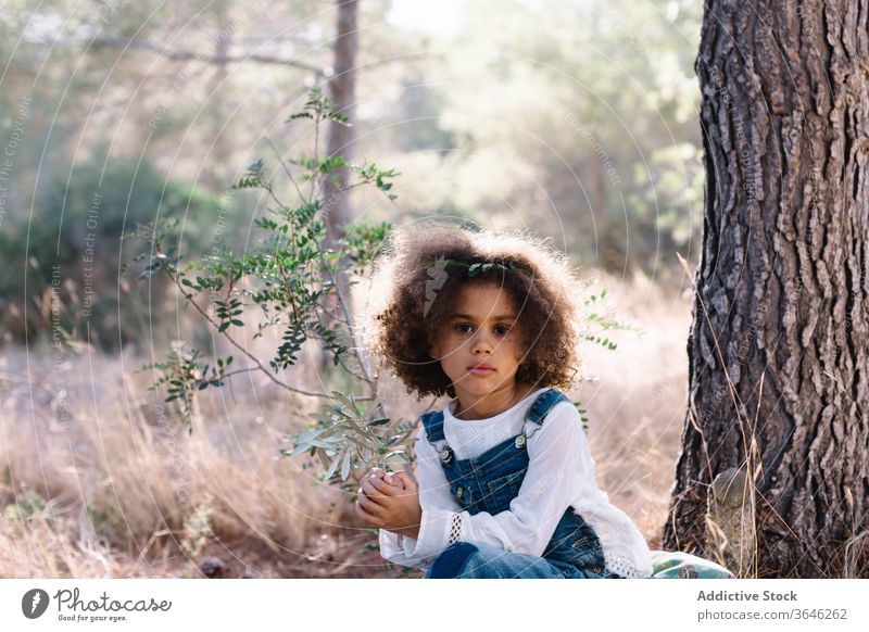 Serious little mulatto girl on blurred nature background - a Royalty Free  Stock Photo from Photocase