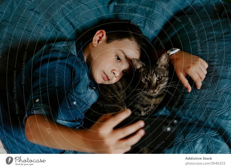Little boy and cat taking selfie with mobile phone on bed smartphone cute casual photo together hug comfort sweet relax adorable gray cozy lying using device