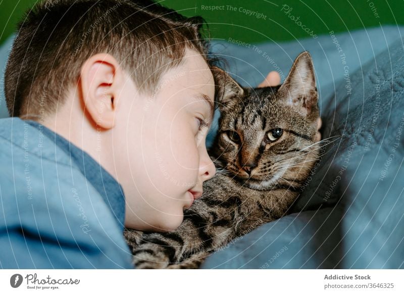 Little boy and cat taking selfie with mobile phone on bed cute casual together hug comfort sweet relax adorable gray cozy lying calm serene tender care domestic