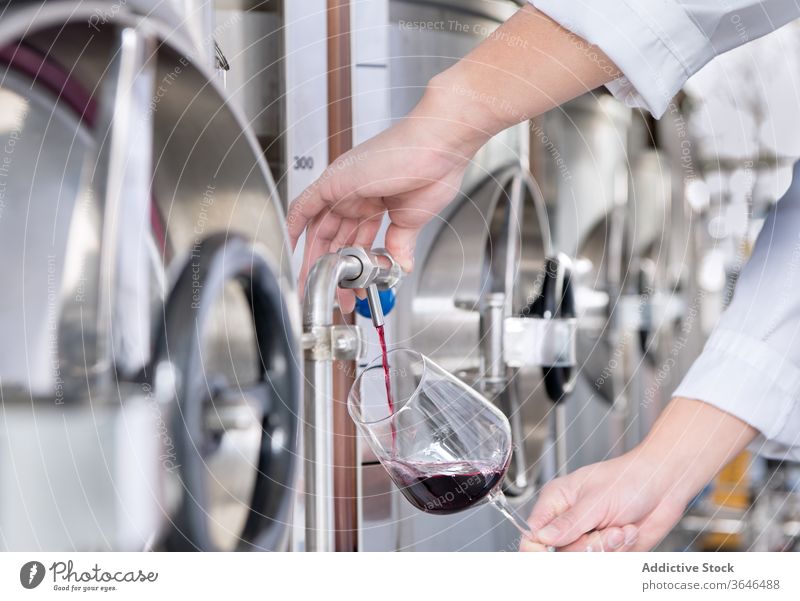 Crop worker pouring wine in glass at factory for degustation degustate sommelier uniform tasting red wine wineglass modern facility plant goblet alcohol drink