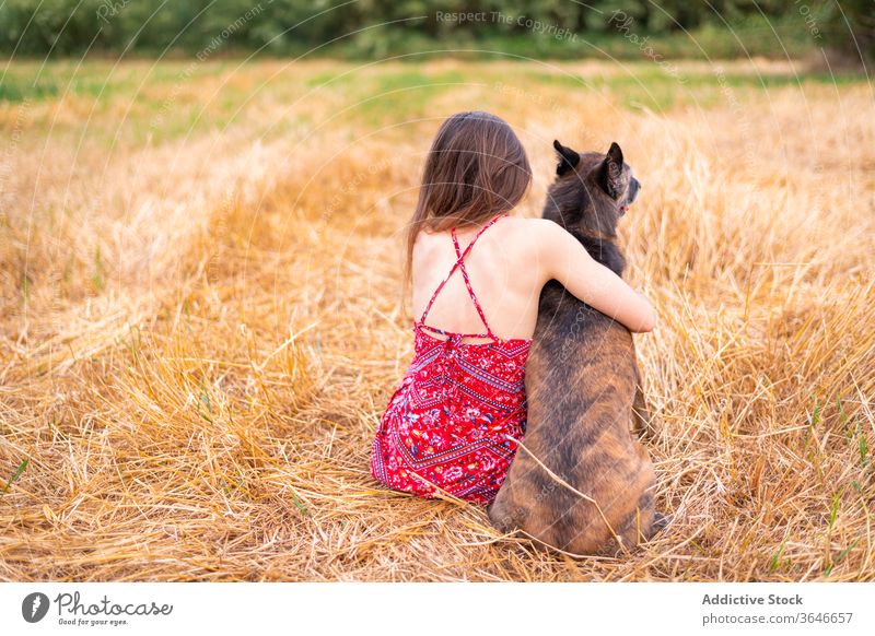 Woman and dog under cloudy sky at sunset woman affection harmony bonding together animal gentle purebred countryside relax quiet rest canine pet companion peace